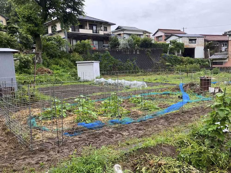 農作物と畑を守る！効果的なイノシシ対策・侵入防止のすべて - 農業屋