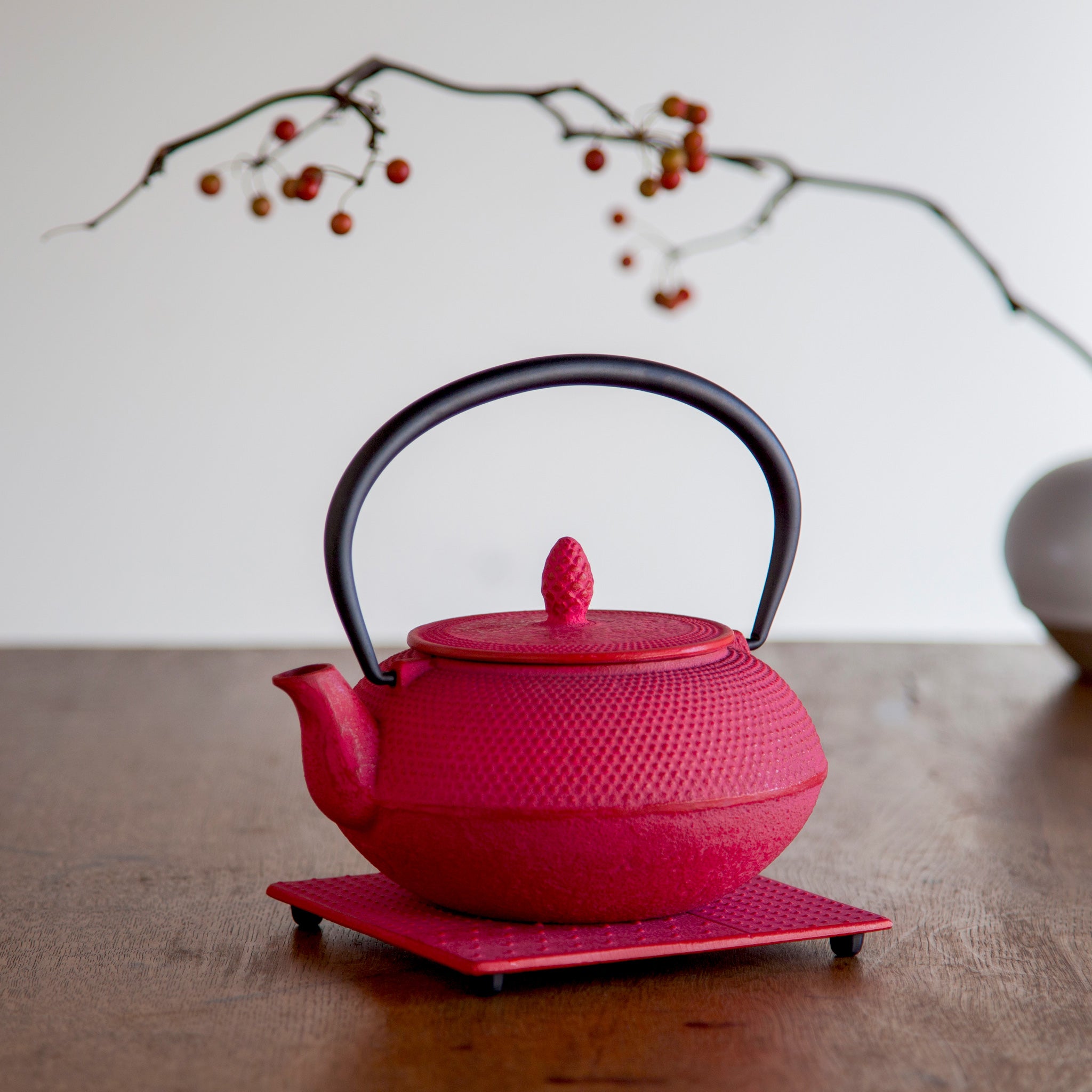 ロジアソシエイツ 南部鉄器急須 あられ 0.4L – NOREN JAPAN 公式通販