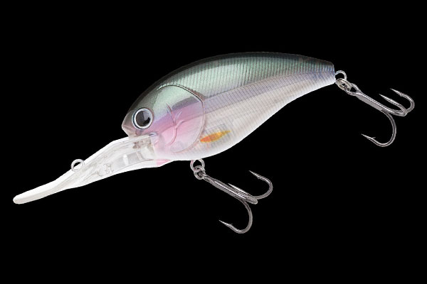 GILL TOP | BASS | NORIES