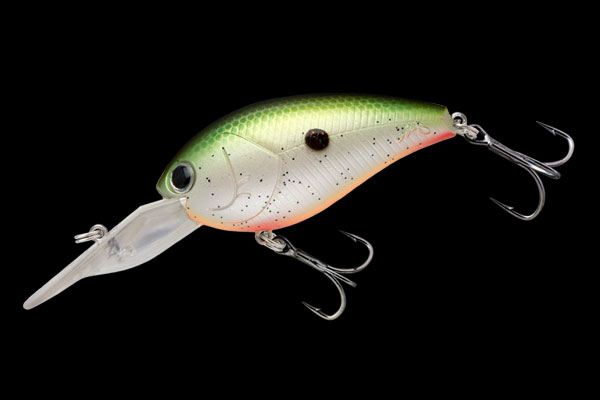 GILL TOP | BASS | NORIES