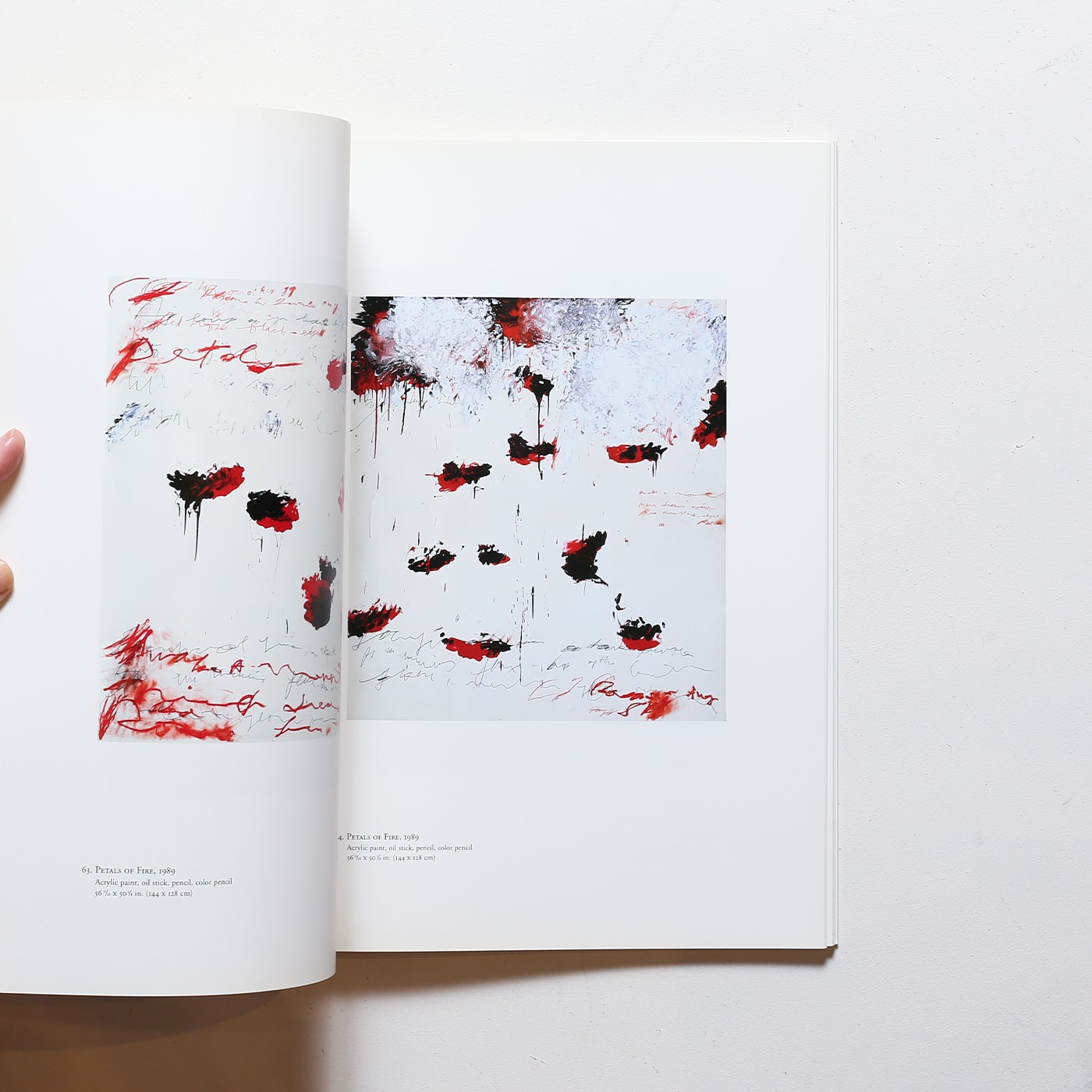 サイ・トゥオンブリー 紙の作品、50年の軌跡 | 原美術館 | nostos