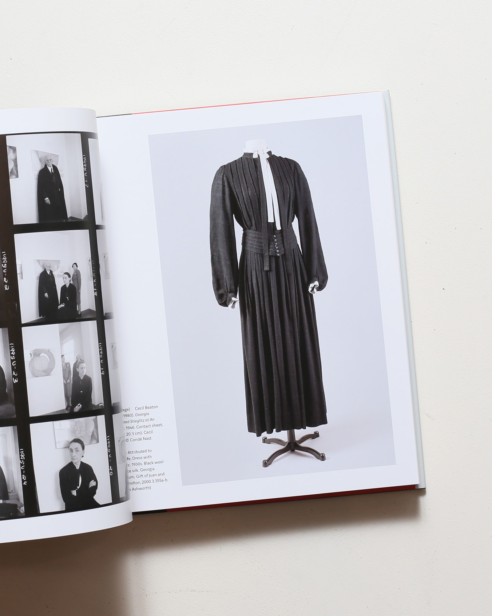 Georgia O'Keeffe: Living Modern | nostos books ノストスブックス