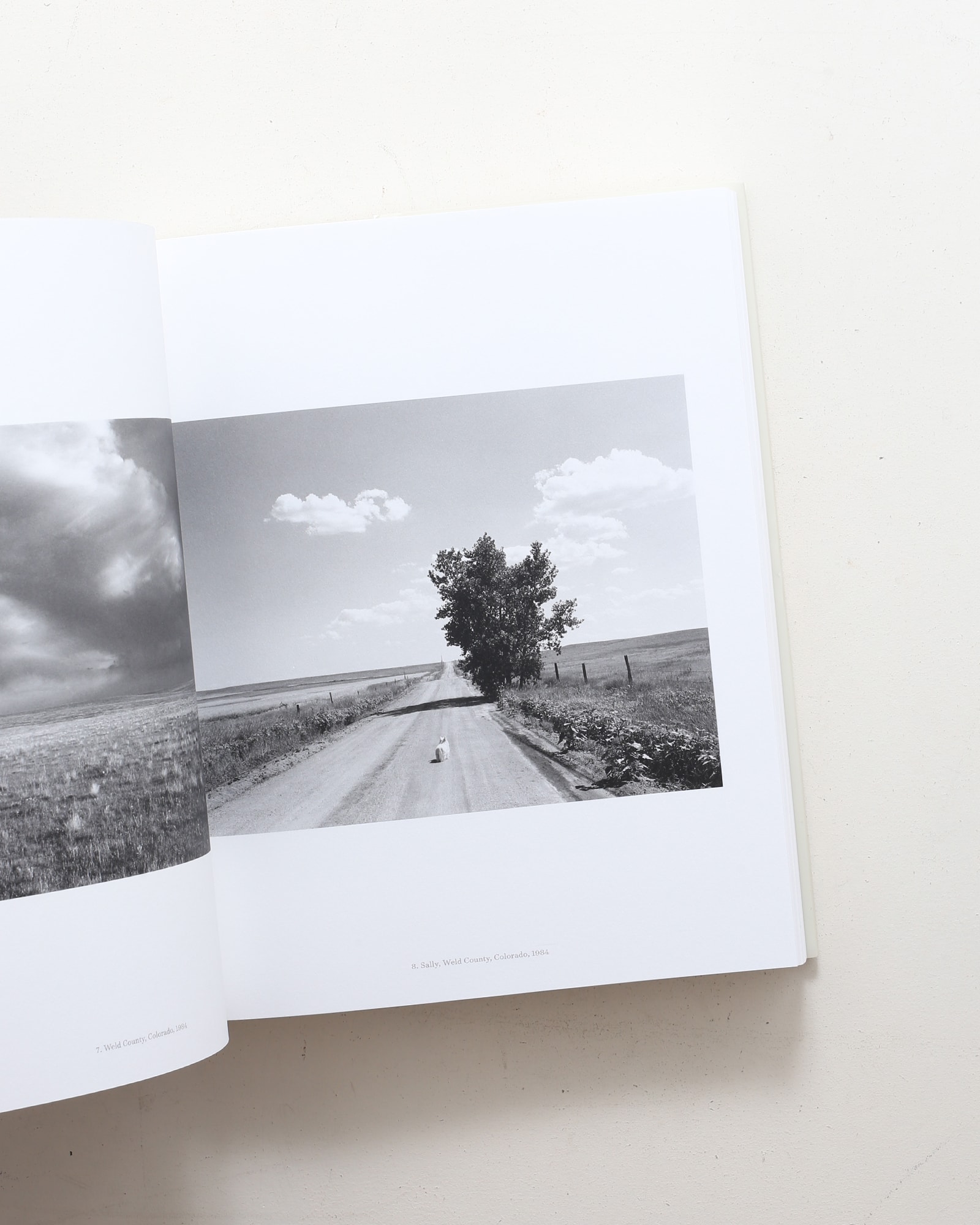 American Silence: The Photographs of Robert Adams | nostos books
