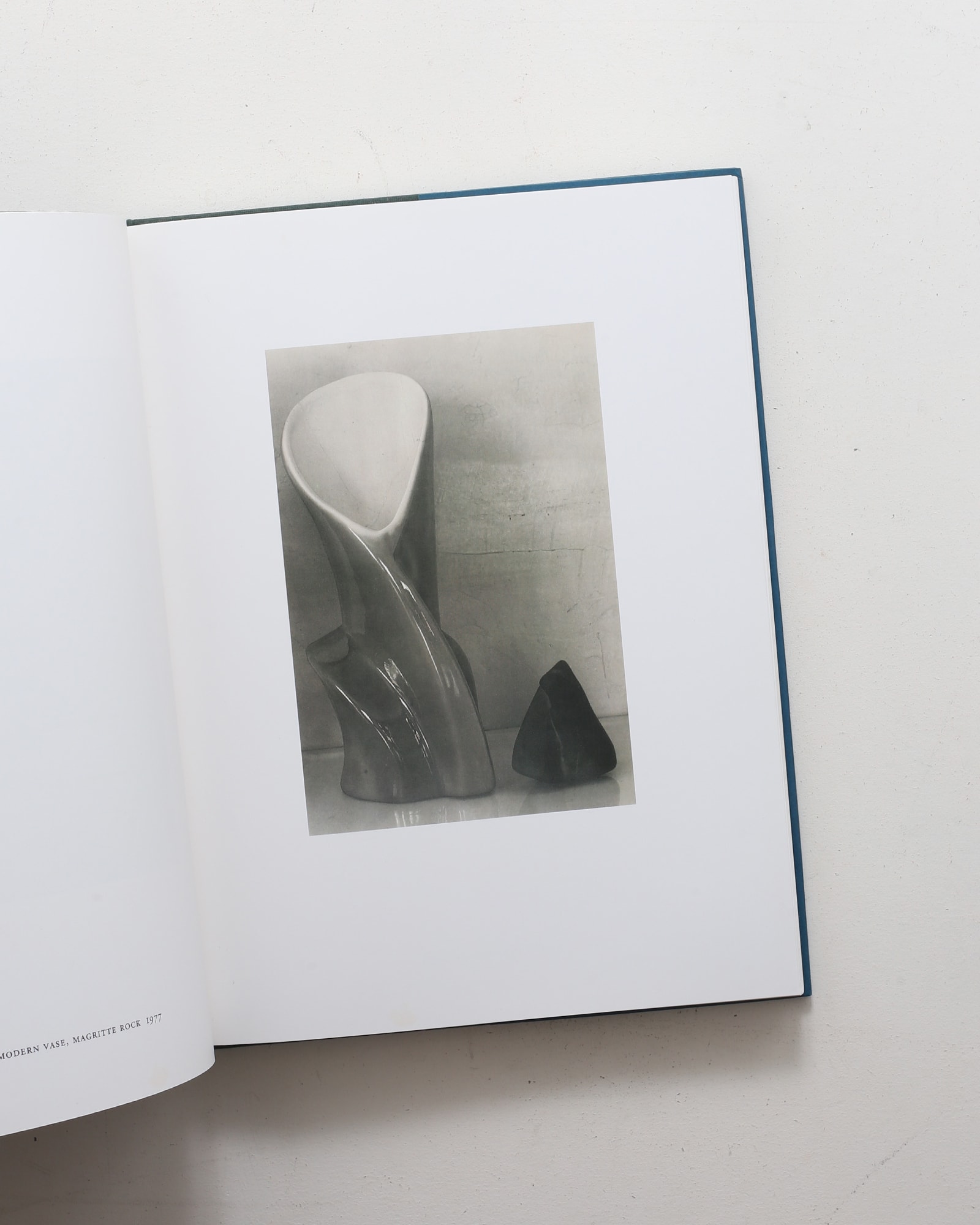 Color | Sheila Metzner | nostos books ノストスブックス