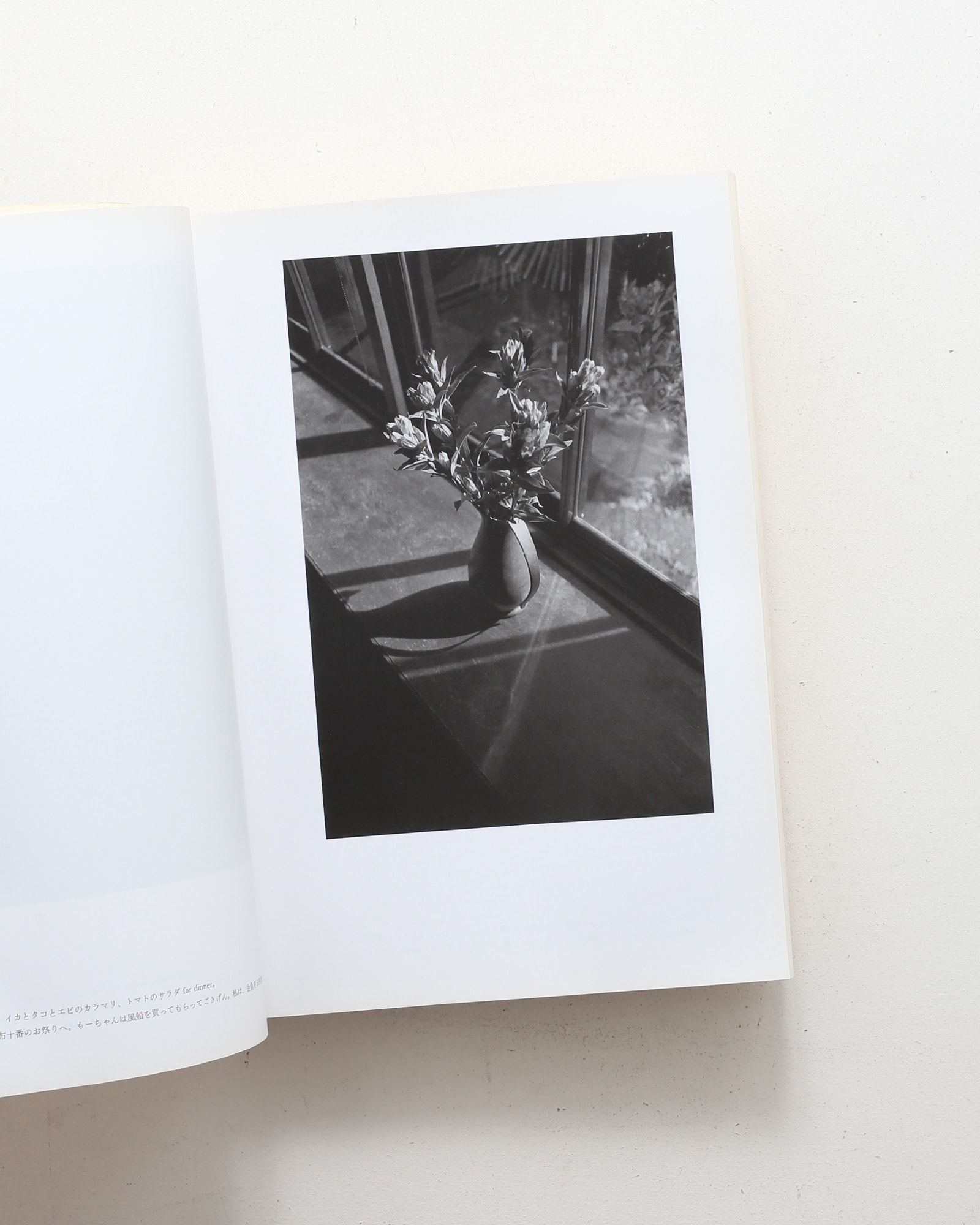 上田義彦写真集 at Home | nostos books ノストスブックス