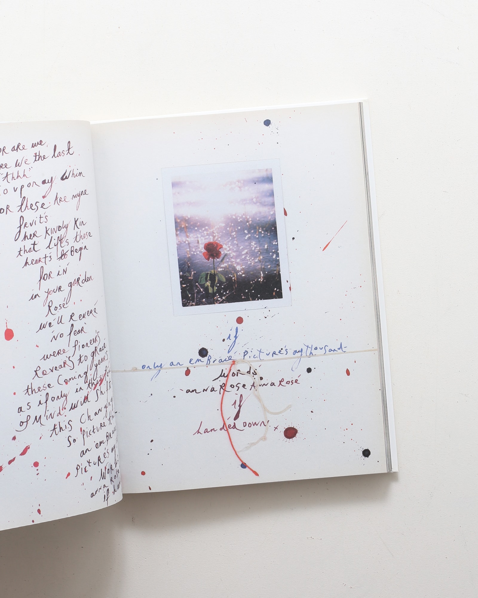 The Heart Land | マーク・ボスウィック | nostos books ノストスブックス