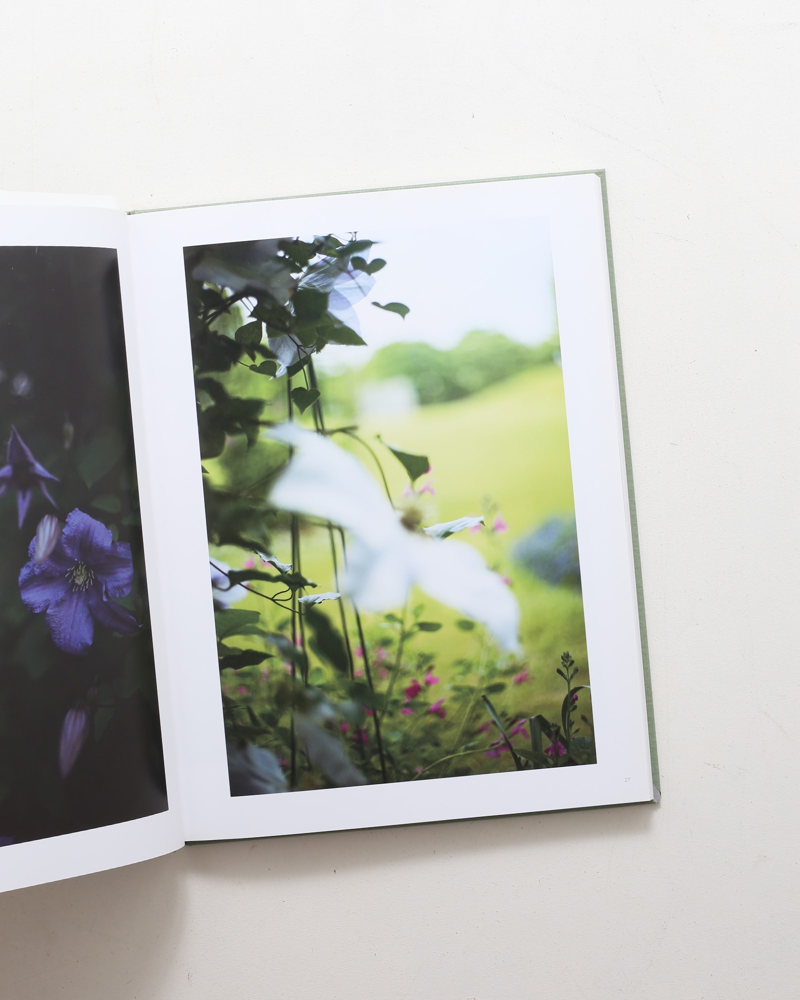 Terri Weifenbach: The May Sun | 山田裕理 | nostos books ノストス