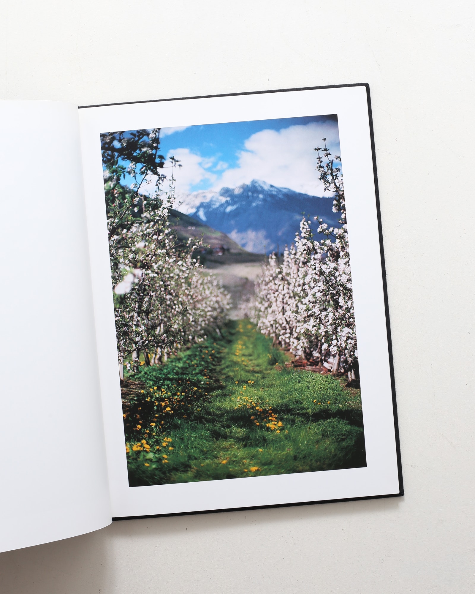 Lana: Photographs Made of a Single Locale | Terri Weifenbach テリ