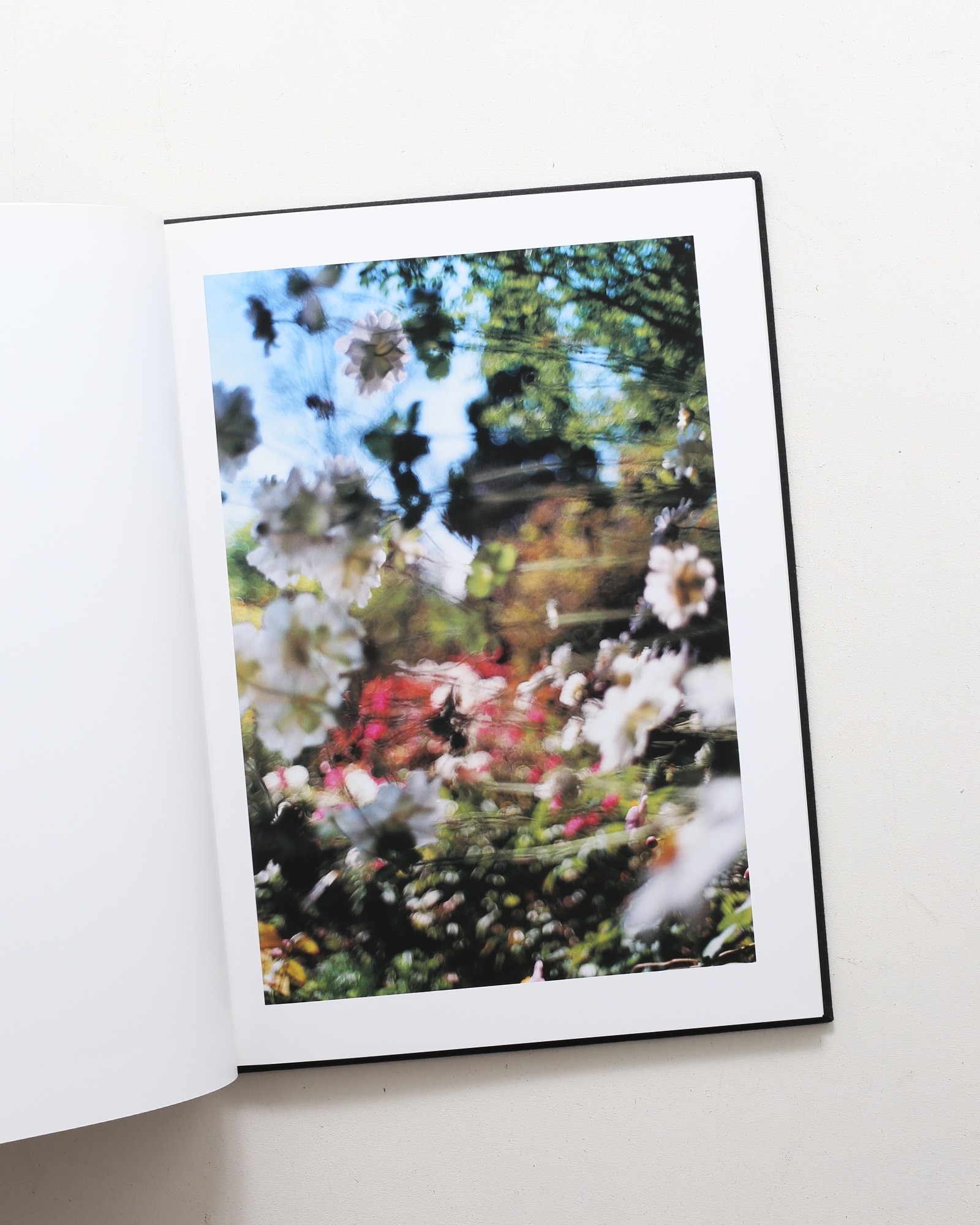 Lana: Photographs Made of a Single Locale | Terri Weifenbach テリ