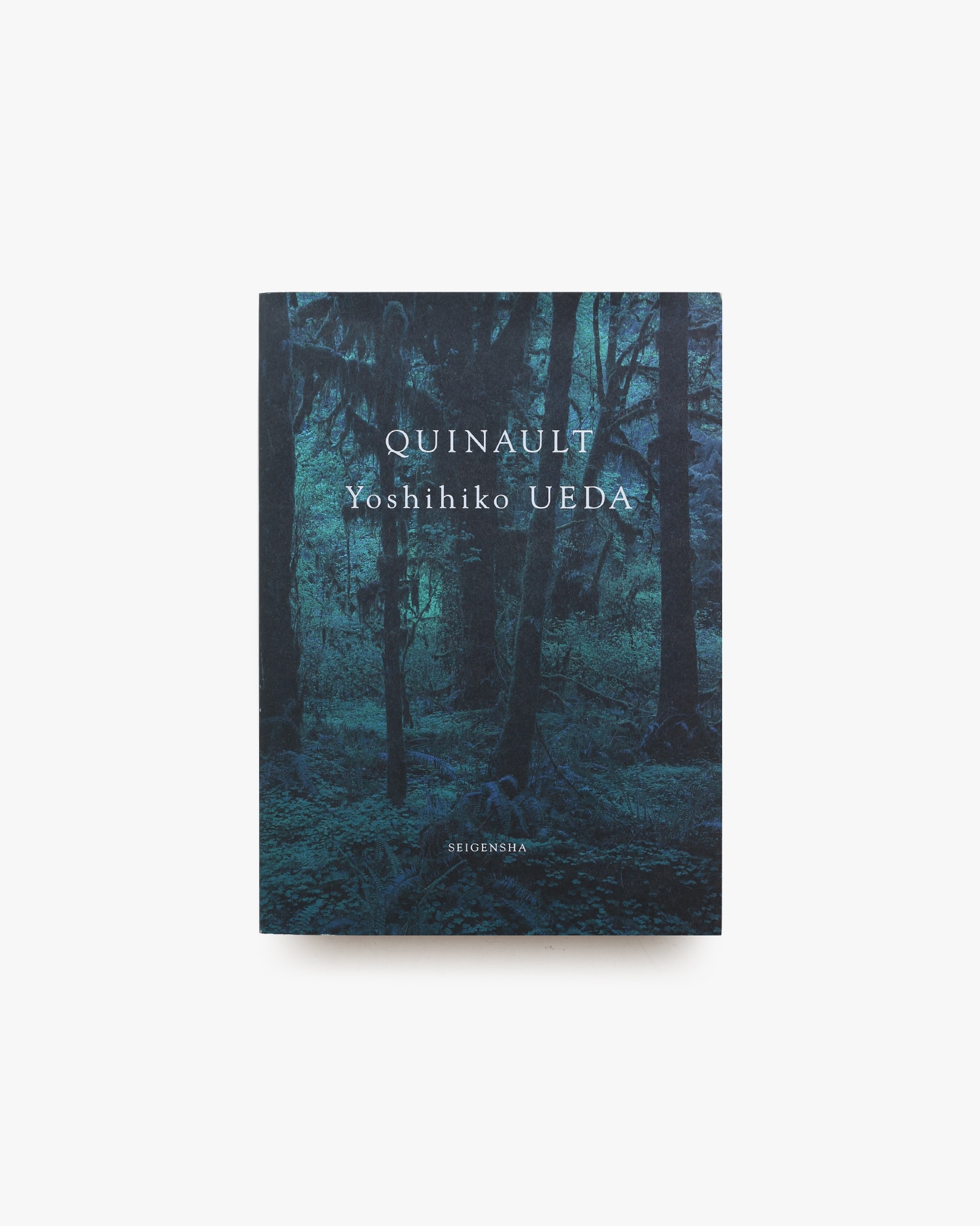 クゥィノルト 上田義彦写真集 | nostos books ノストスブックス