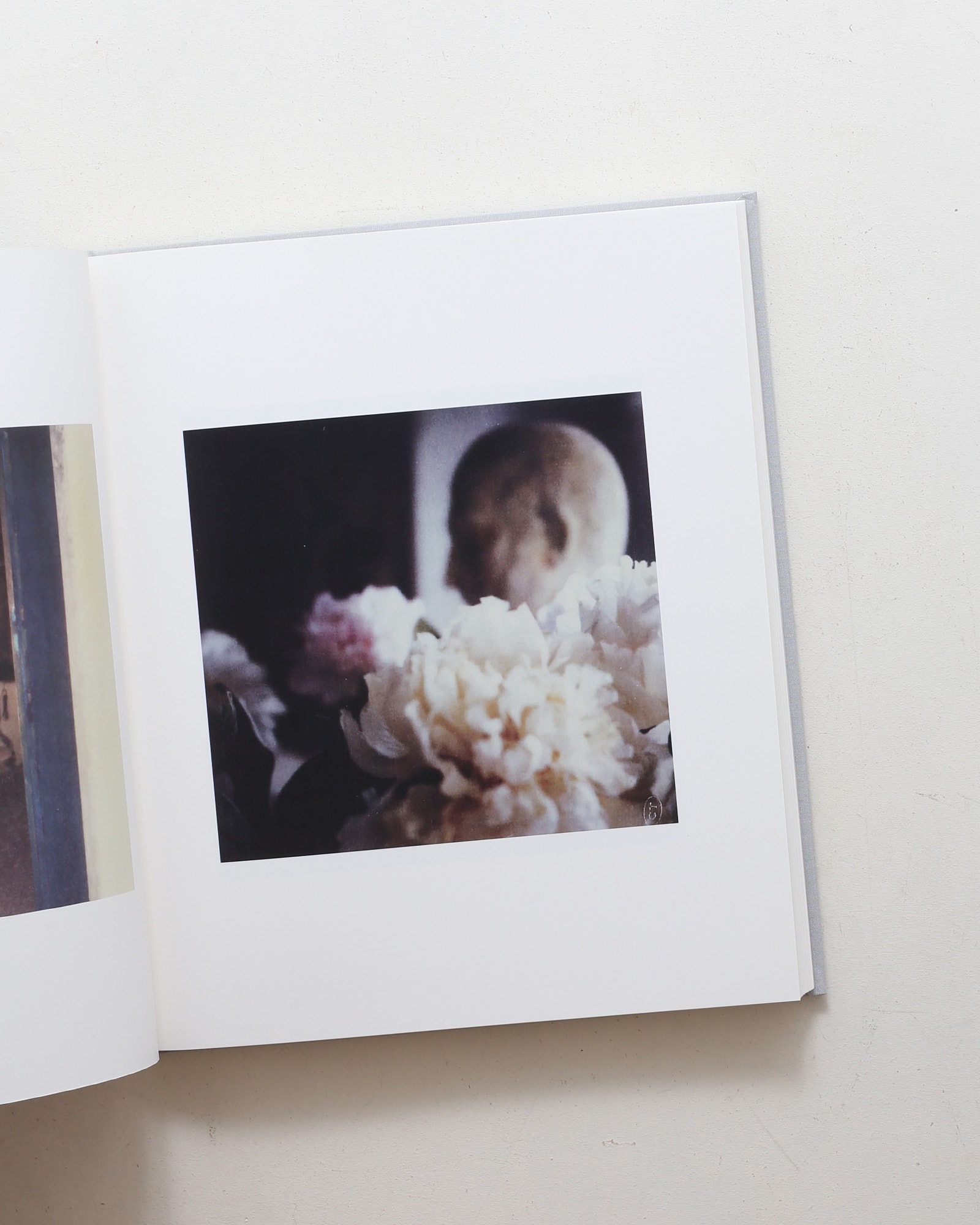 サイ・トゥオンブリーの写真 変奏のリリシズム | nostos books ノスト