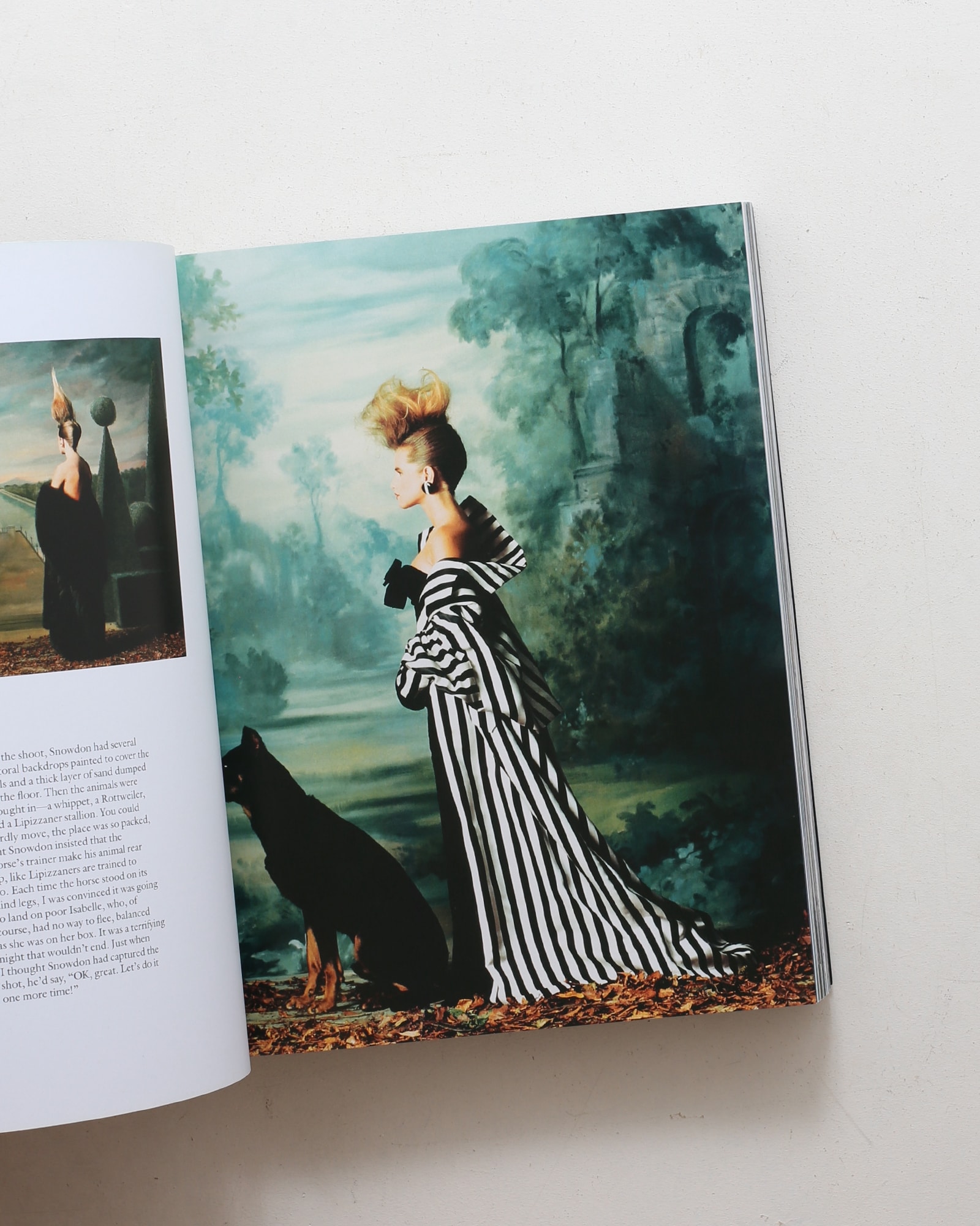 Grace: Thirty Years of Fashion at Vogue | nostos books ノストス