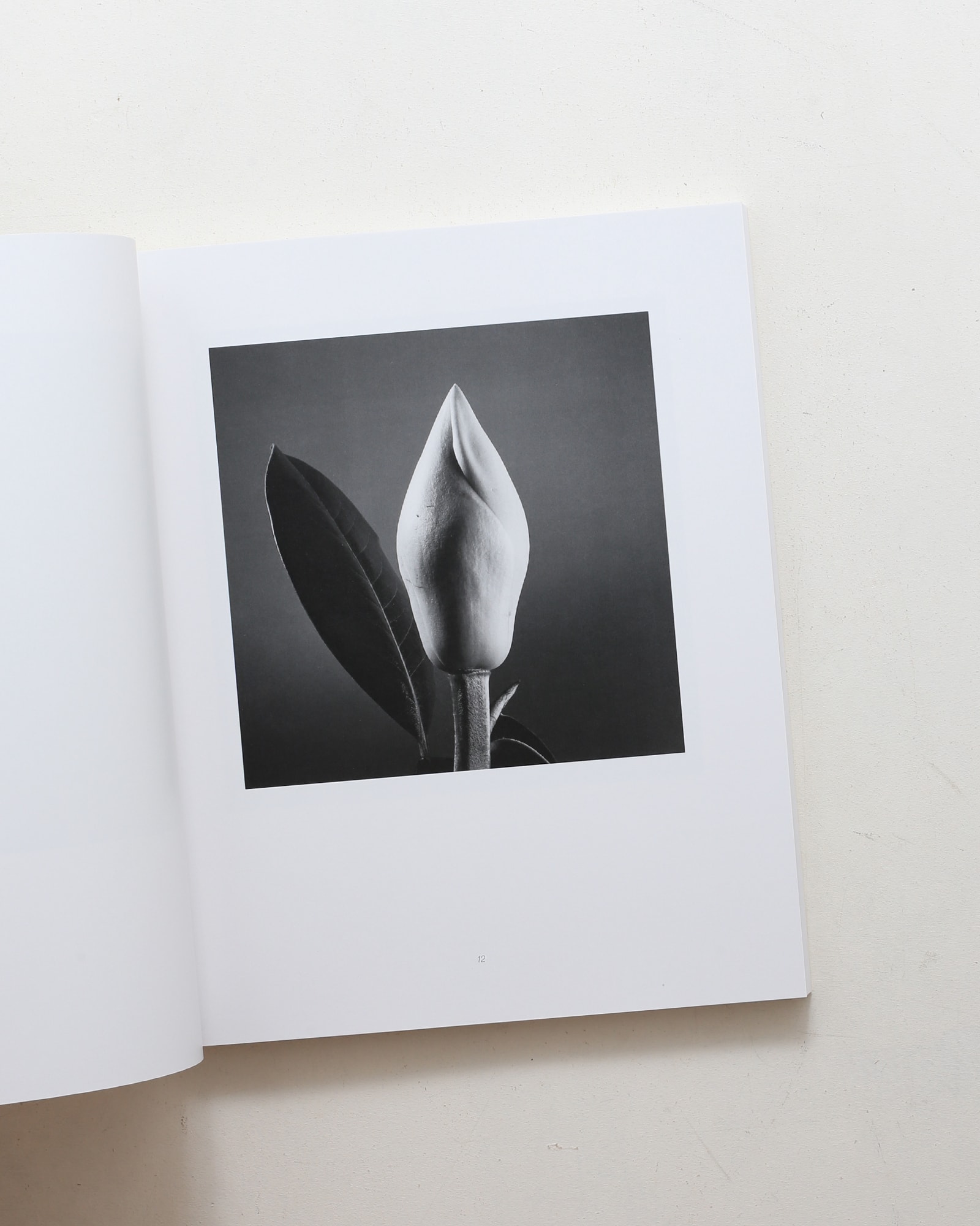 HANA | Yasuhiro Ishimoto | nostos books ノストスブックス