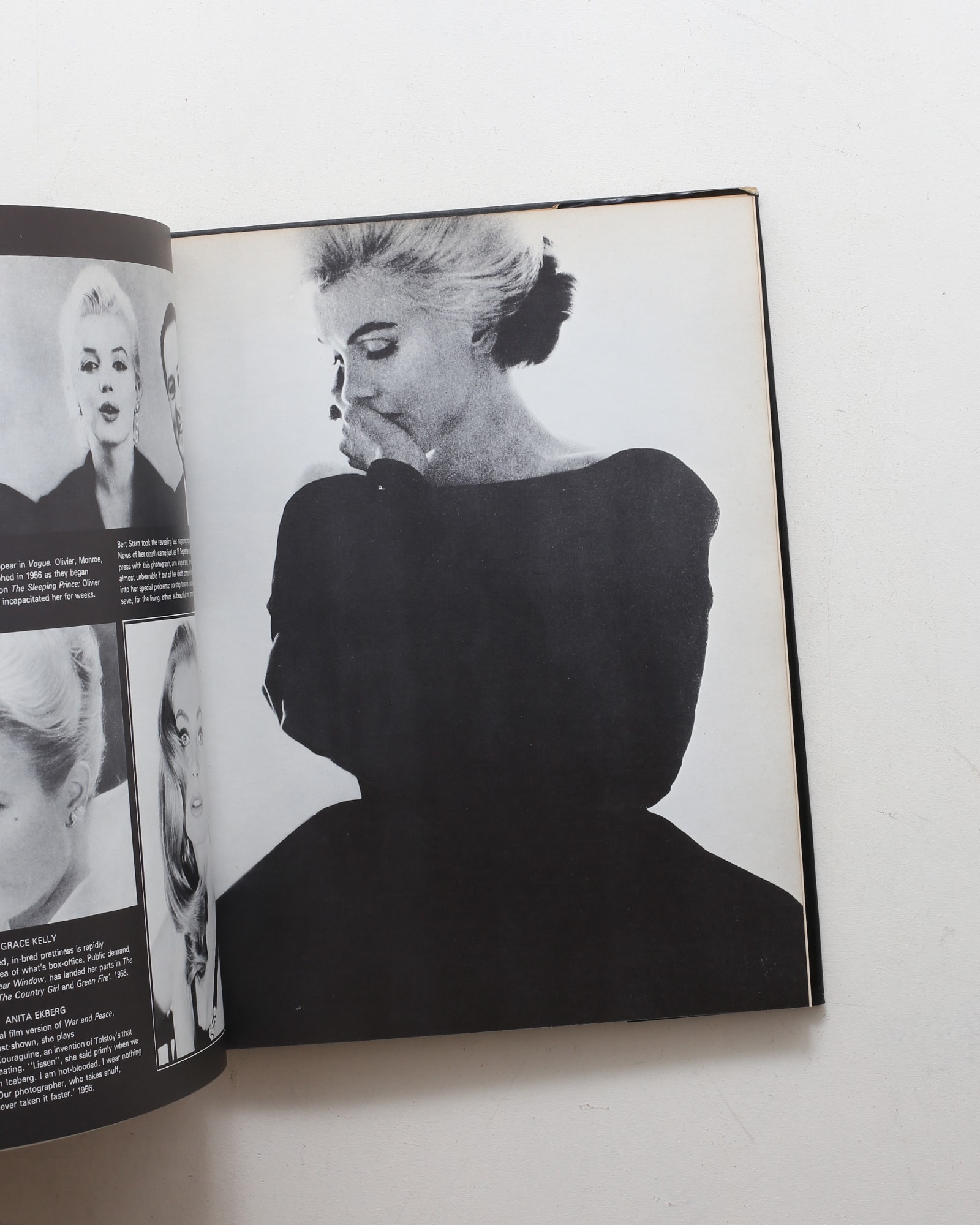 In Vogue: Six Decades of Fashion | nostos books ノストスブックス