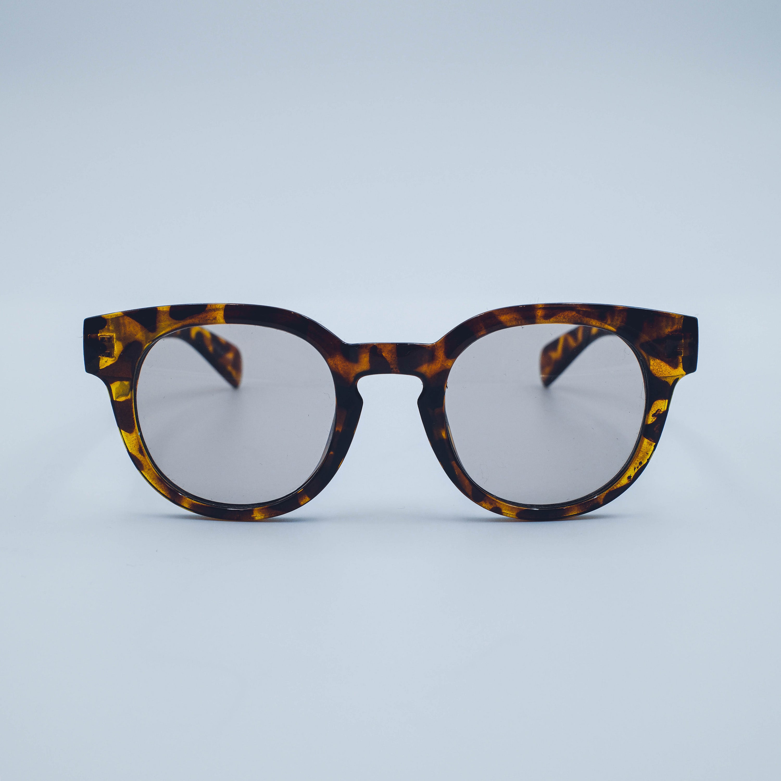 NOśWEA | TERMiNaL collaboration sunglasses – NOsWEA - ノースウェア