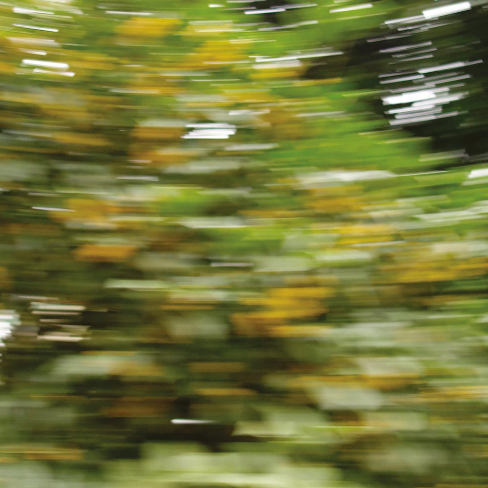 17 ナンダン ロード – NOSE SHOP