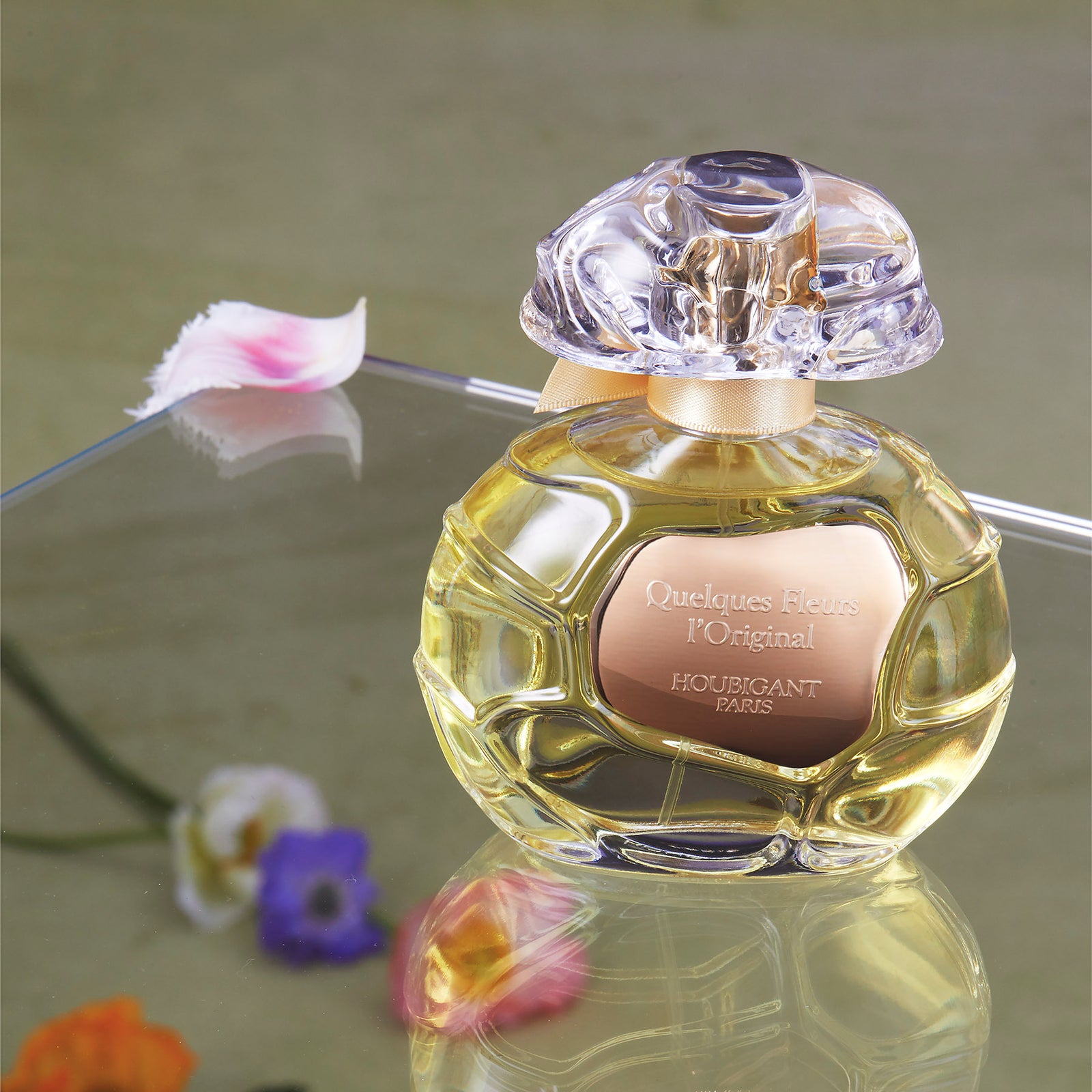 L_Original03_1600x.jpg?v=