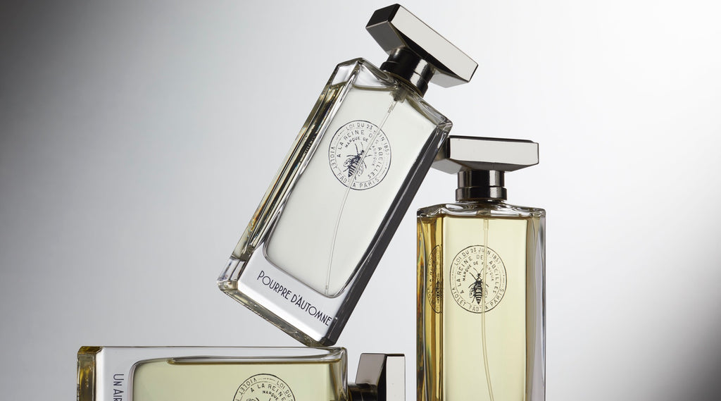 6866_1_1024x.jpg?v=1628754087