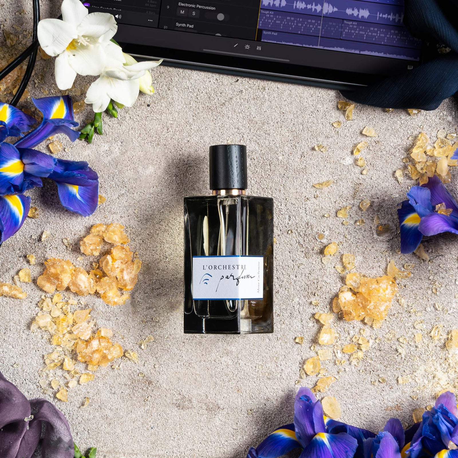 モノ カシミア – NOSE SHOP