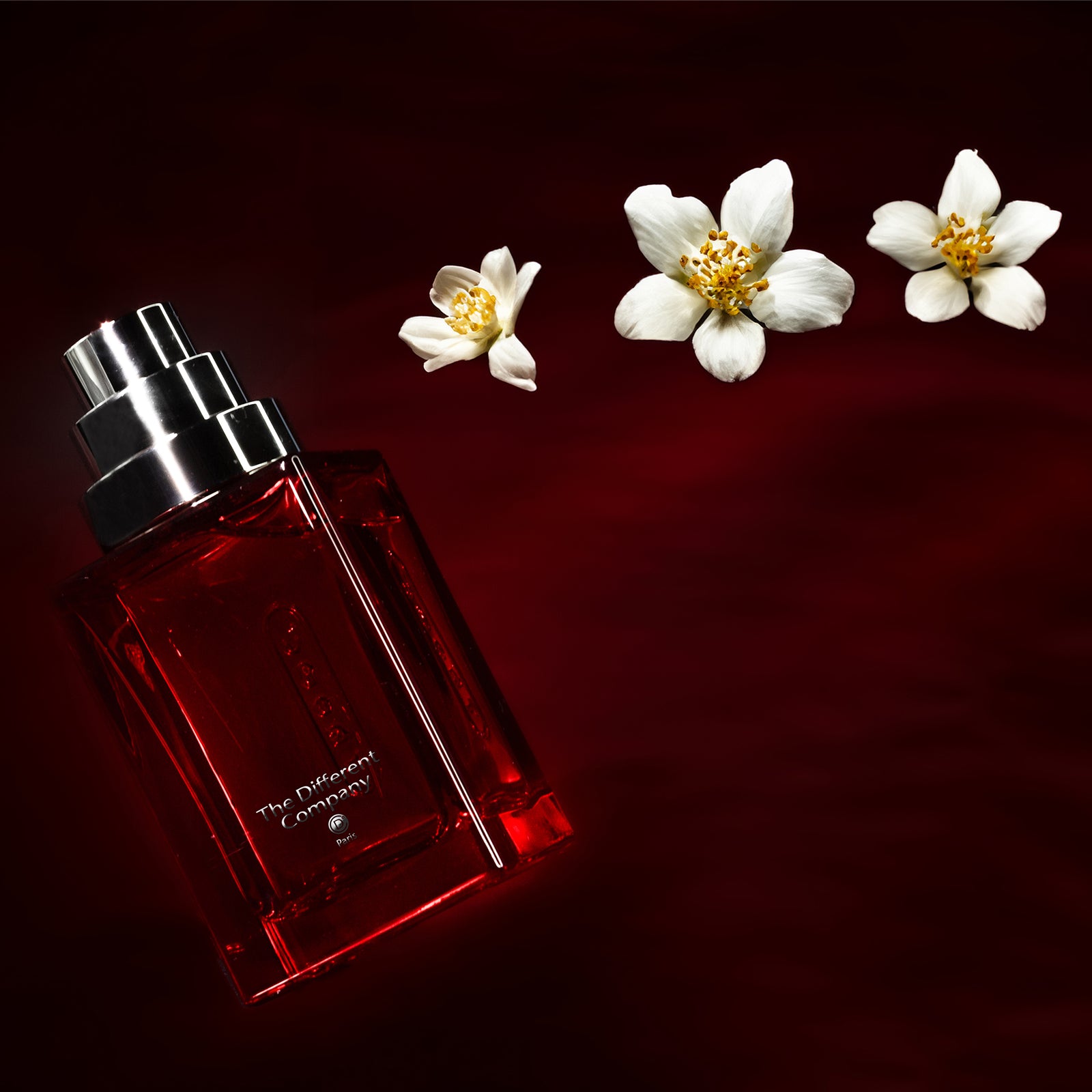 レッド バーニング ナイト – NOSE SHOP