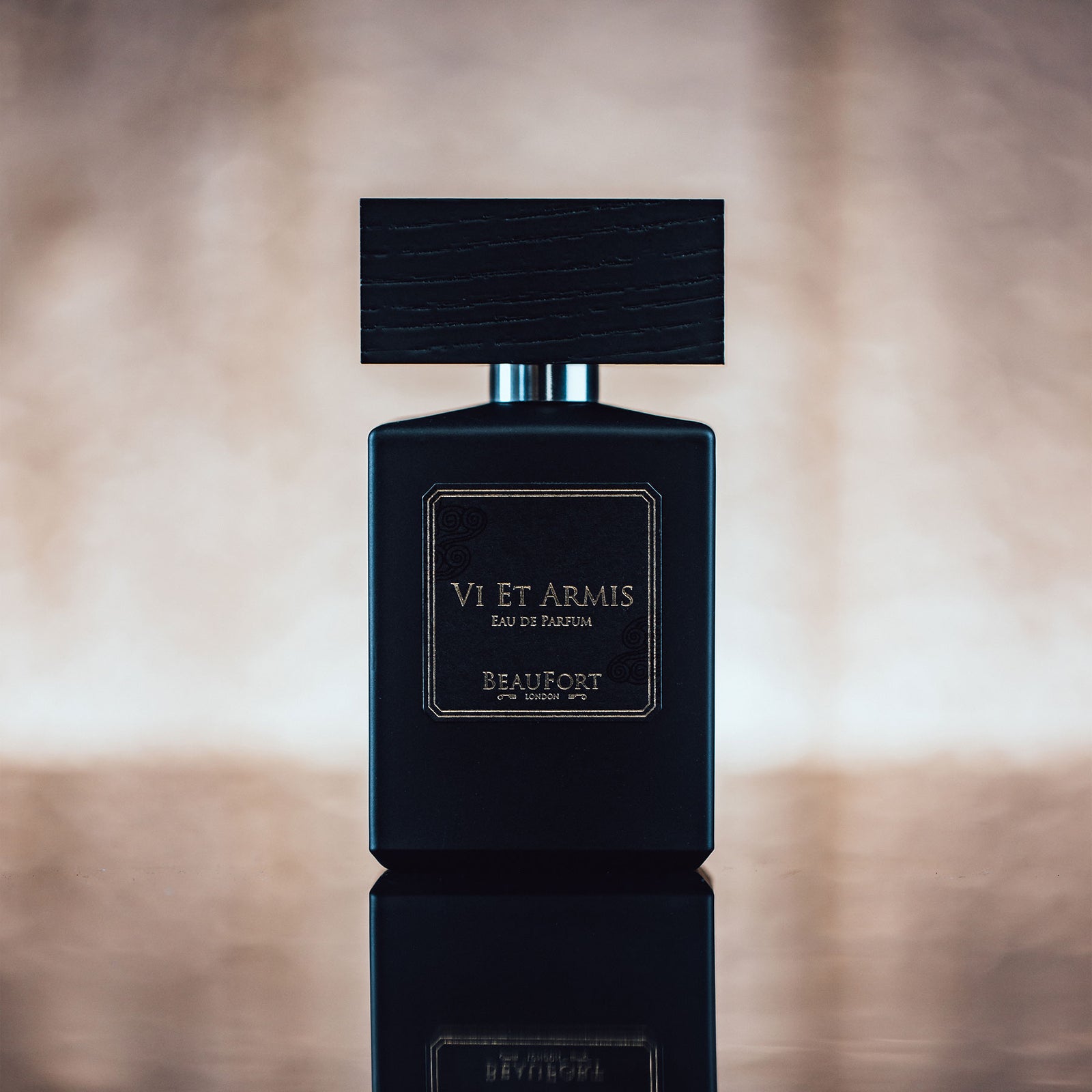 ヴィ エト アルミス｜力による現状変更 – NOSE SHOP