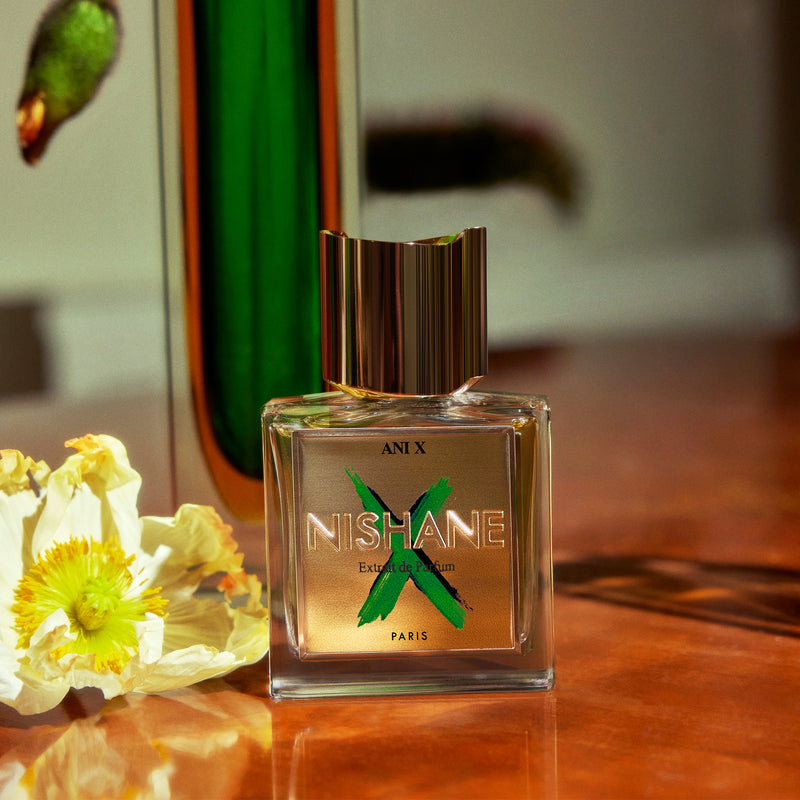 アニ X｜アニ遺跡 テン – NOSE SHOP