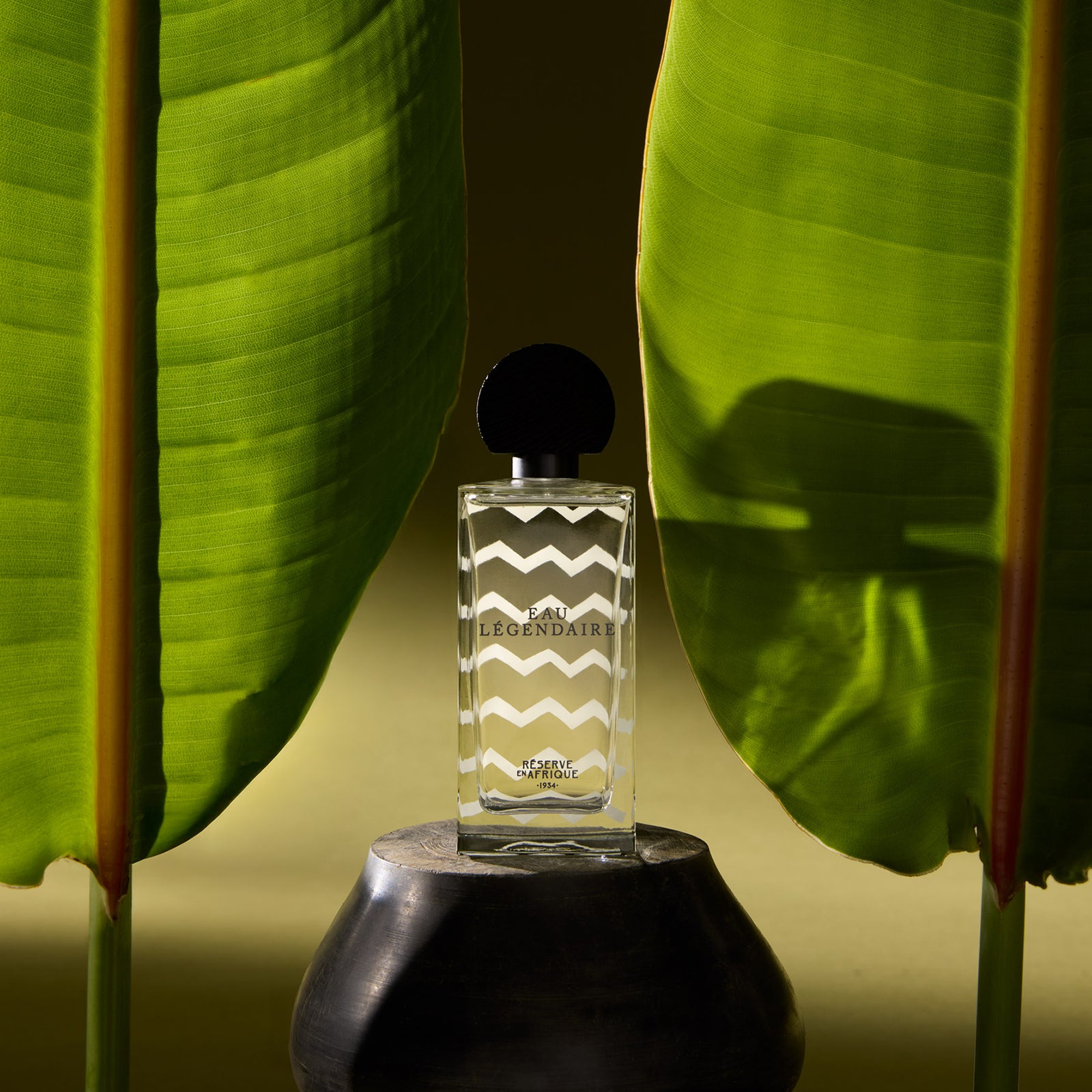 オー レジェンデー｜伝説の水 – NOSE SHOP