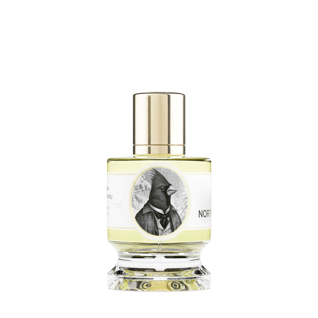 カーディナル｜ショウジョウコウカンチョウ – NOSE SHOP