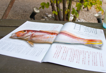 Fのさかな』定期購読会員 初回4号分送付・個人様対象【送料込】 | Fの