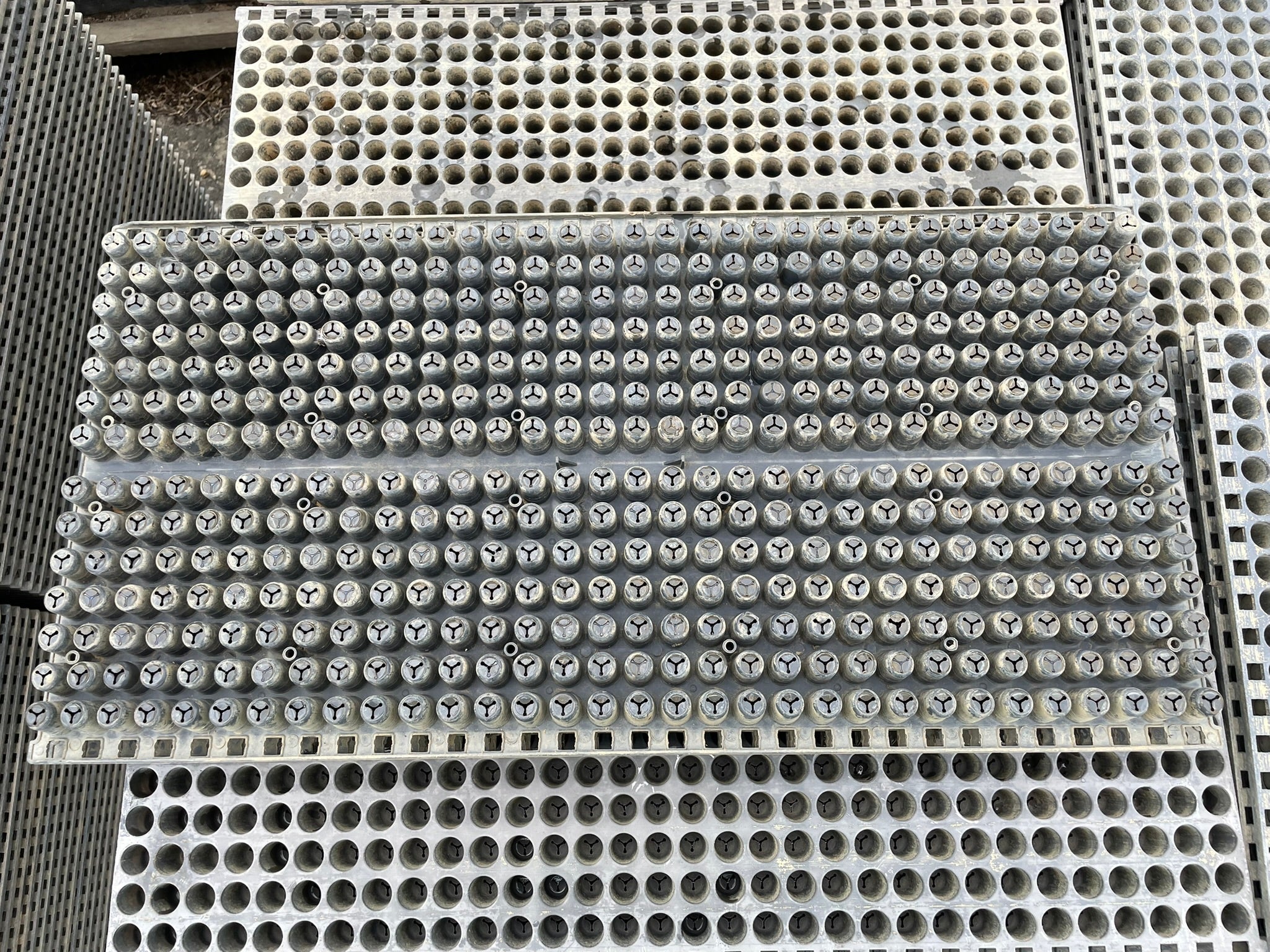 みのる 中古 ポット育苗箱 448穴 – 農キング