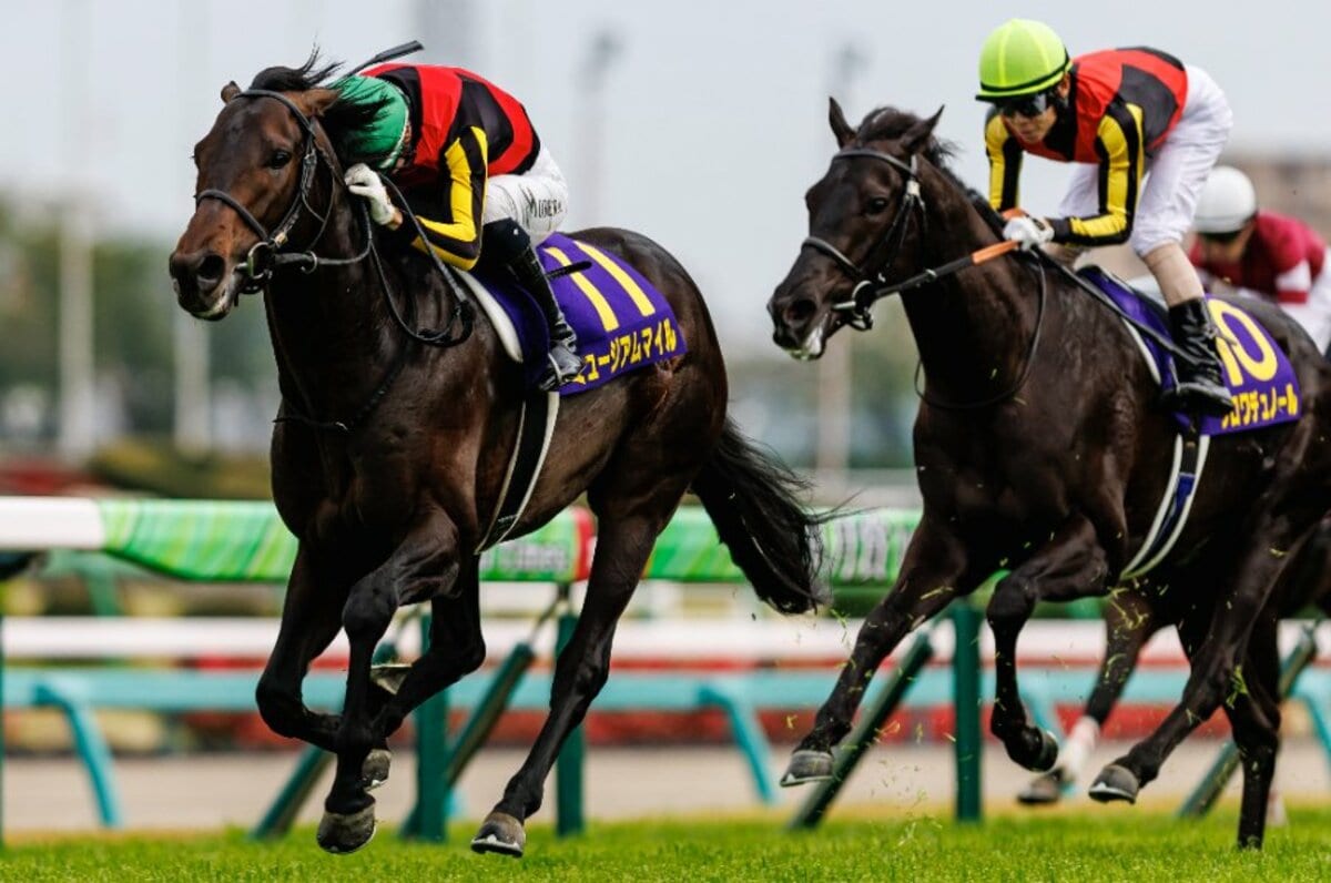 皐月賞もモレイラだ…」“単勝1.5倍”クロワデュノールはなぜ敗れたのか