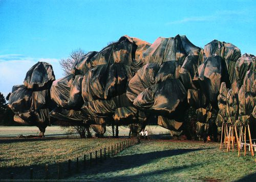 Wrapped Trees (Photo, 1998) – Nurture Nature Foundation