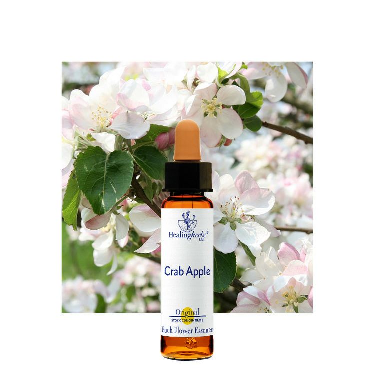 ヒーリングハーブスフラワーエッセンス | ニールズヤード レメディーズ