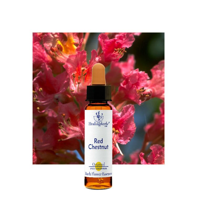 ヒーリングハーブスフラワーエッセンス | ニールズヤード レメディーズ