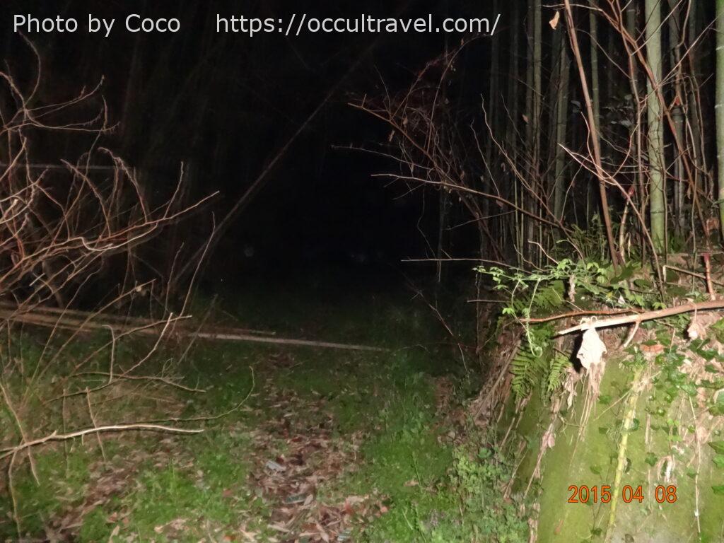 心霊スポット】住人達は一体どこに？七つの家。【山口県】 | オカルト