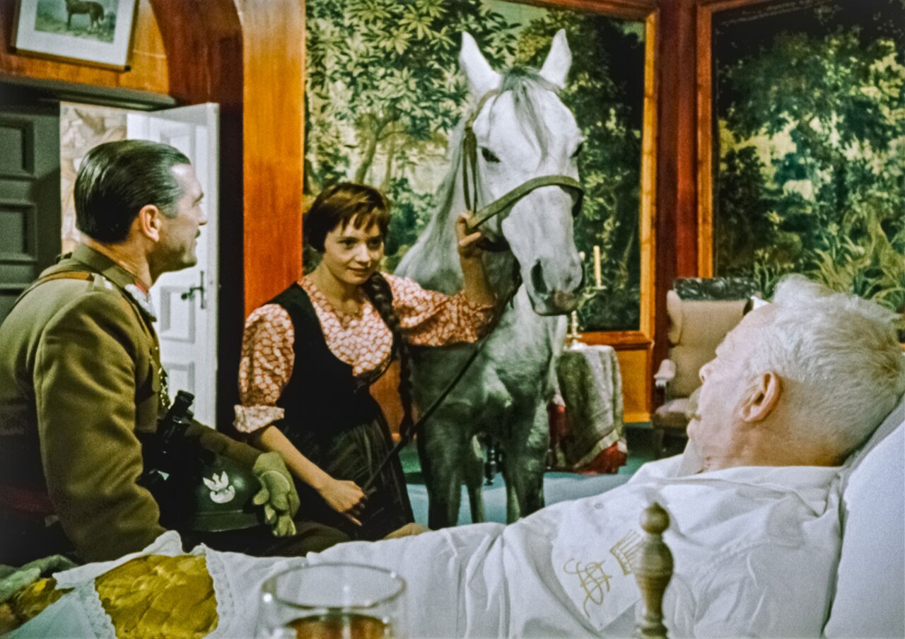 アンジェイ・ワイダ監督作14本を上映、抵抗3部作から坂東玉三郎主演作