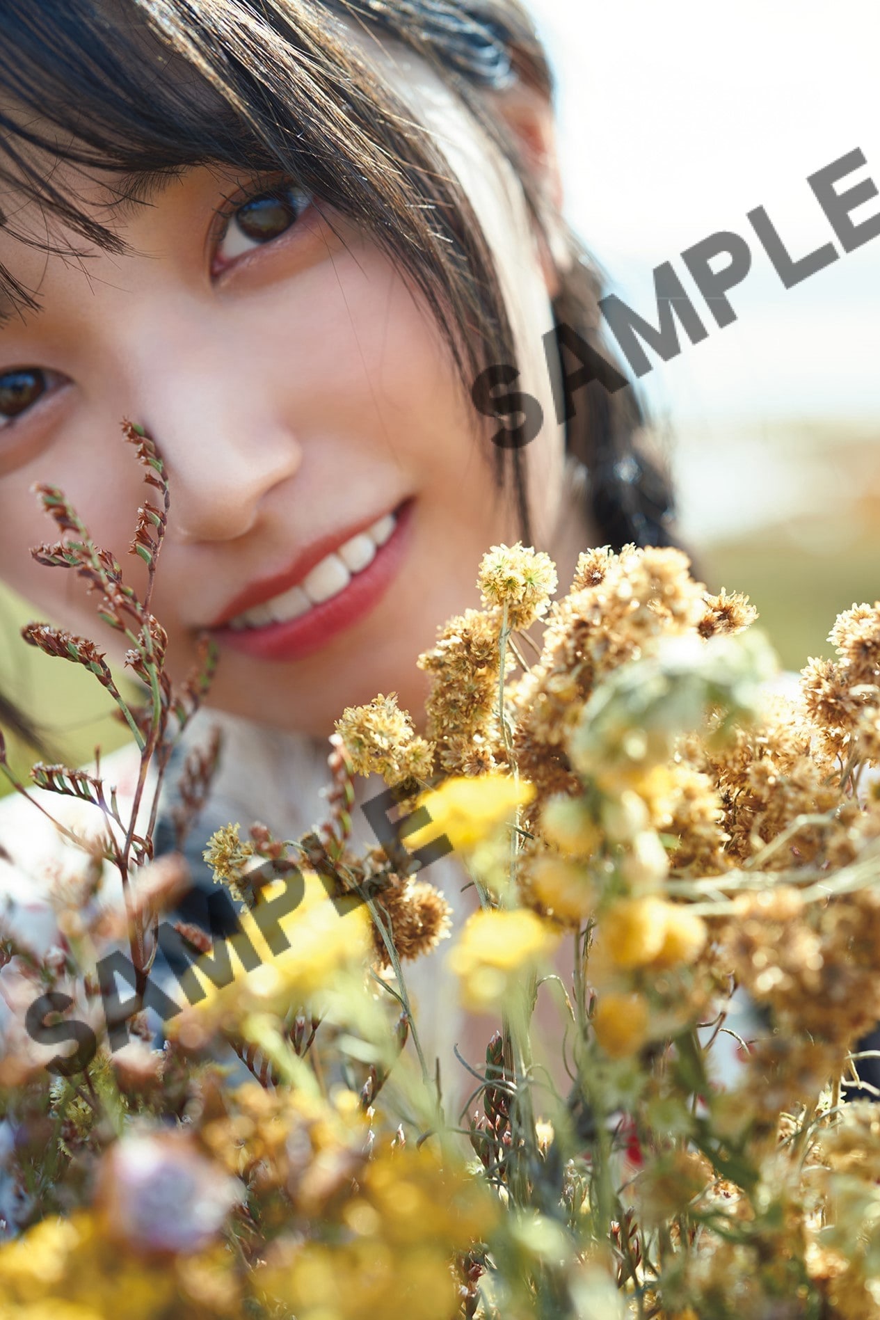 乃木坂46 五百城茉央 1st写真集「未来の作り方」特典ポストカード