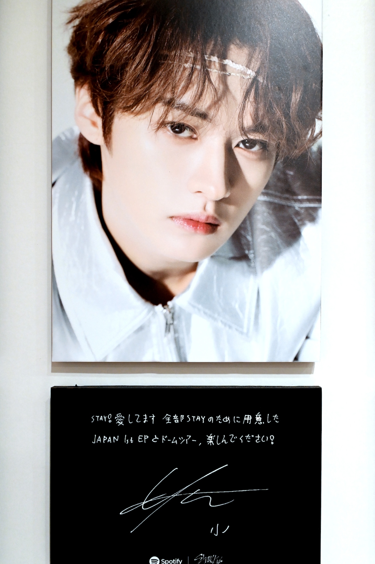 StrayKids スキズ LeeKnowリノ in生 サインアルバム StrayKids LeeKnow