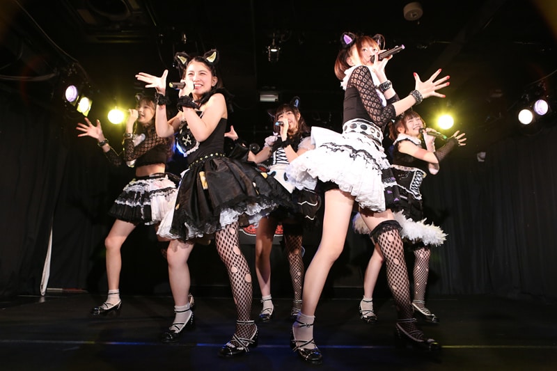 わーすた「完全なるライブハウスツアー2016～猫耳捨てて走り出すに゛ゃ