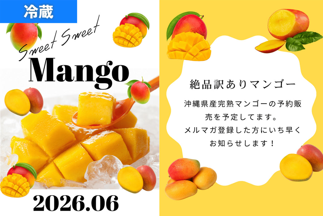 訳あり】沖縄県産完熟マンゴー（1.2kg目安） — 沖縄産直市場オンライン
