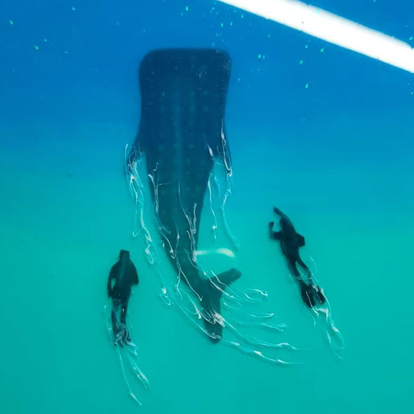 SYOUTA OceanArt 』海レジンアート：沖縄のちゅら海を持ち帰ったような