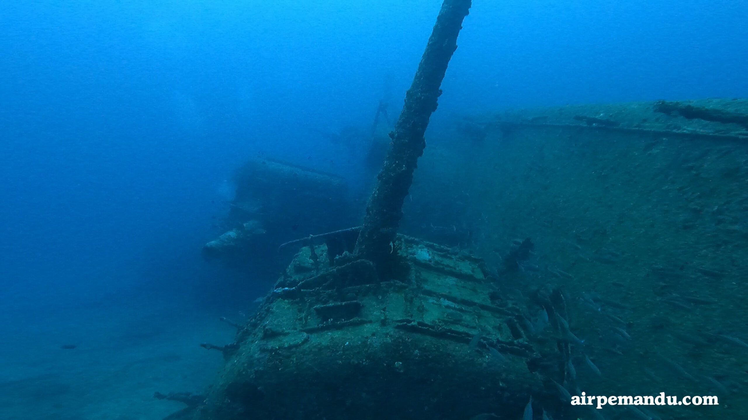 沖縄・古宇利島沖】ファンダイビング☆古宇利島の沖に眠る全長約100m