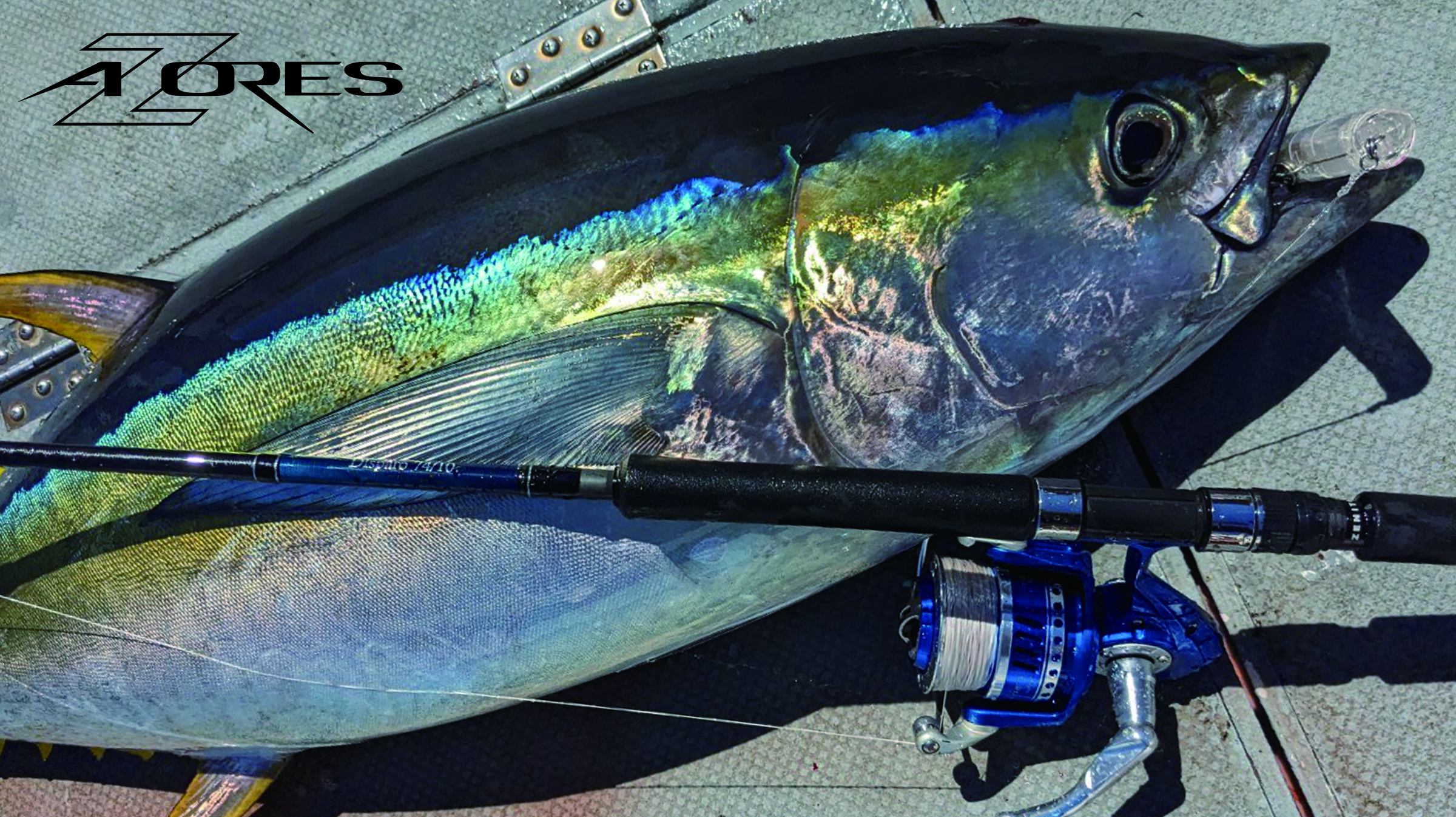 AZORES（アゾレス） - Okuma（オクマ）：リール