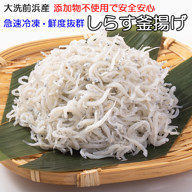 シラス しらす お歳暮 送料無料 冷凍 ギフト 釜揚げしらす ちりめん