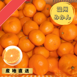 宮川早生みかん 各S・M・L 3kg/5kg/10kg 送料込み | おいしく食べて