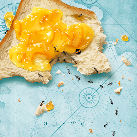 DISCOGRAPHY | おいしくるメロンパン オフィシャルサイト