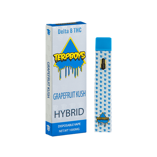 Terpboys Hybrid Delta 8 THC Disposable Vape Device - 1PC | Ohm