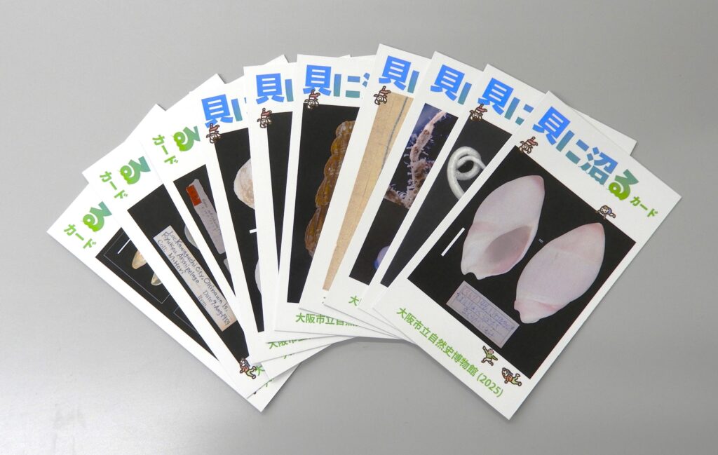 貝に沼る —日本の貝類学研究300年史—」オリジナルグッズ・コラボ企画