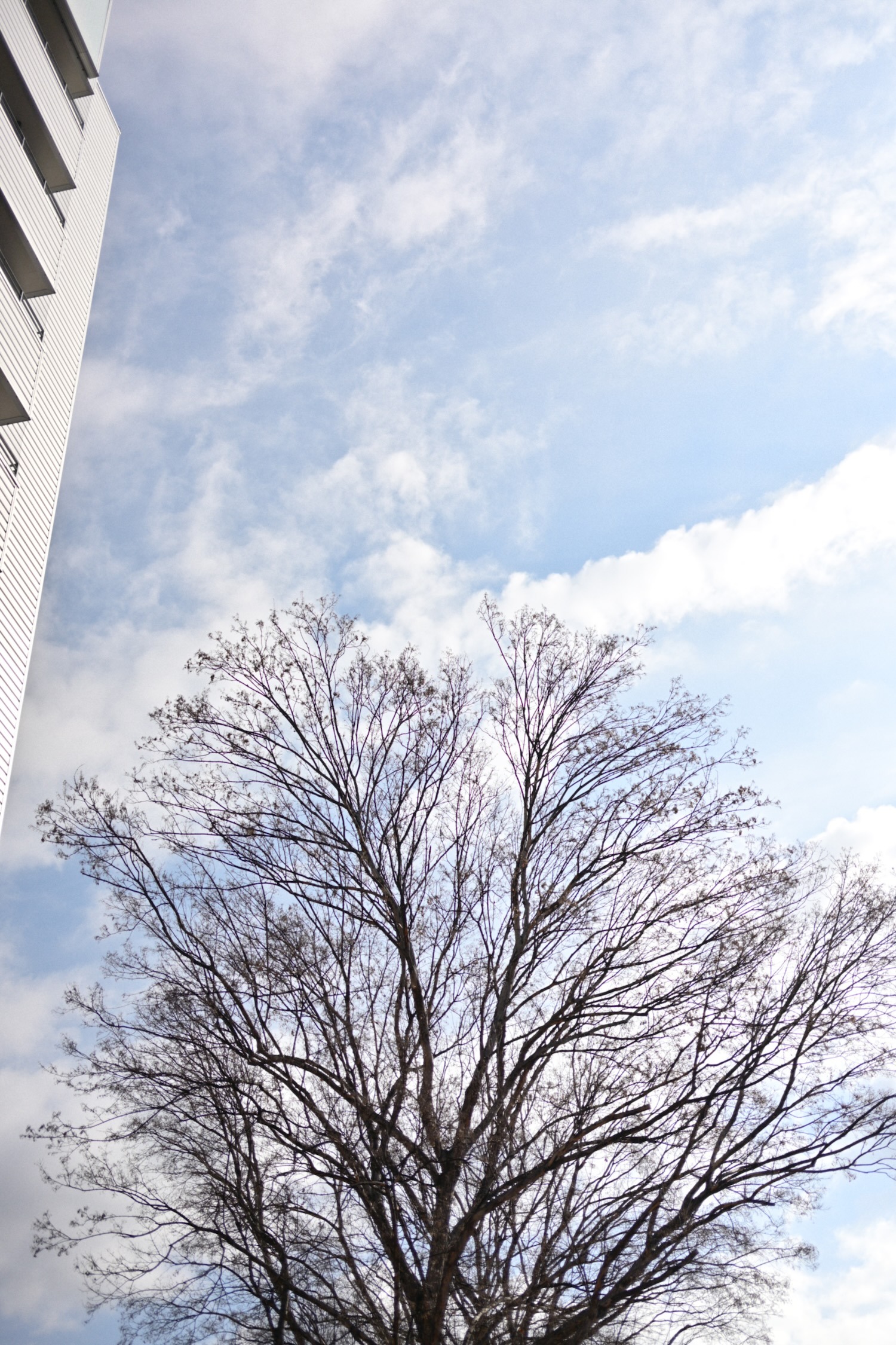 Nikon ZF + Z40mm F2で名古屋栄カメラ散歩 – オニマガ – 名古屋散歩と