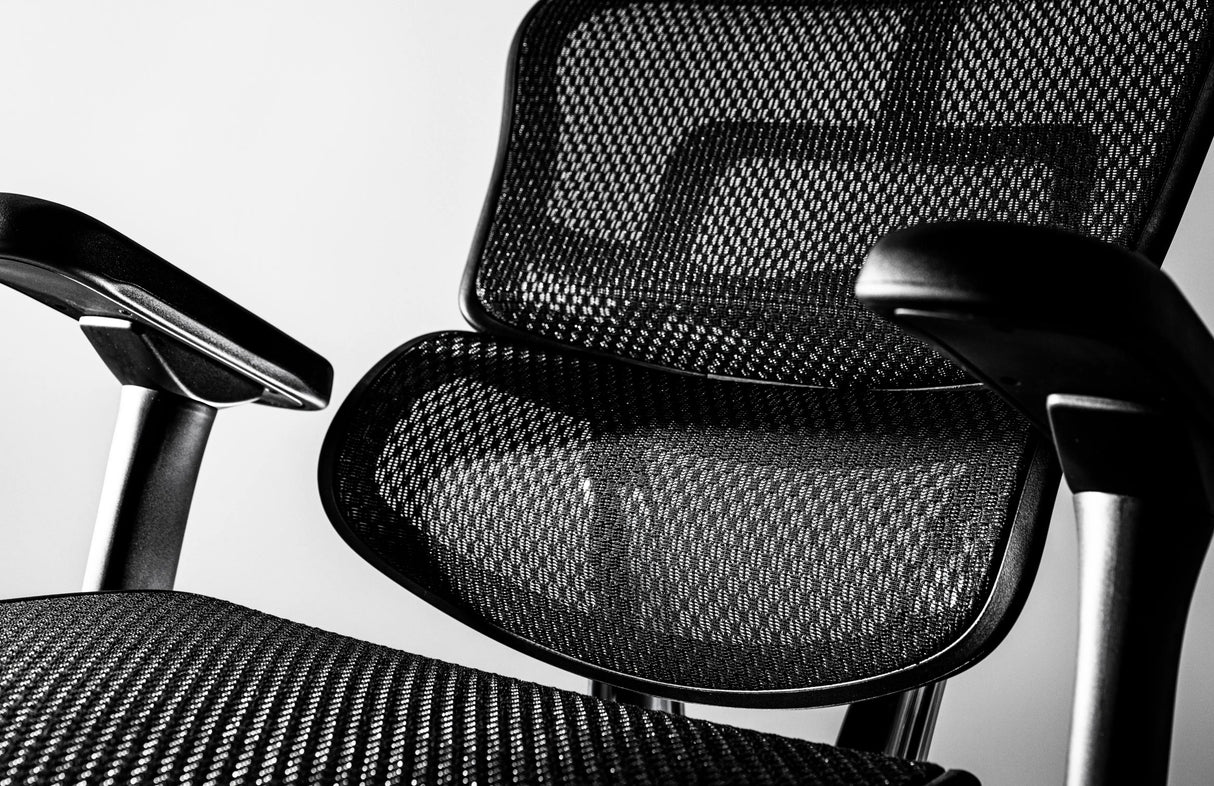 Ergohuman Pro2（エルゴヒューマン プロ2） ロータイプ メッシュチェア